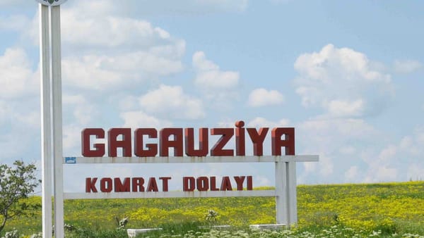 Cine poate candida la alegerile pentru Adunarea Populară a Găgăuziei. CEC anunță condițiile