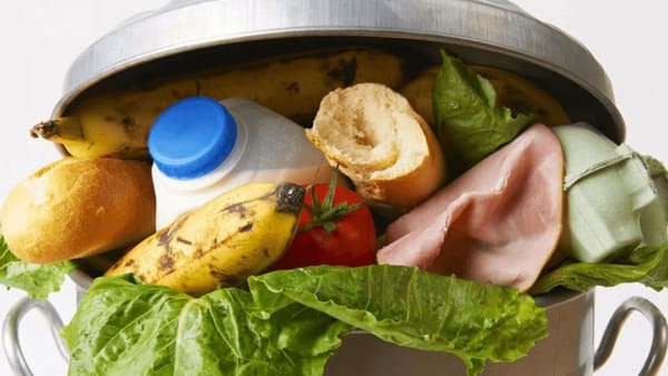O treime din alimente ajunge la gunoi. Hrana risipită ar putea ajunge la două miliarde de oameni