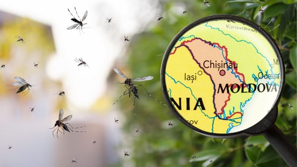 Două cazuri de West Nile au fost confirmate în R. Moldova. Unul dintre pacienți s-a infectat în țară
