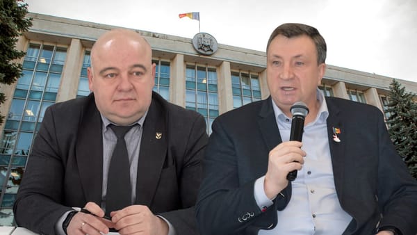Schimbări la conducerea „Moldsilva” și a Probațiunii. Guvernul a aprobat demisia celor doi directori