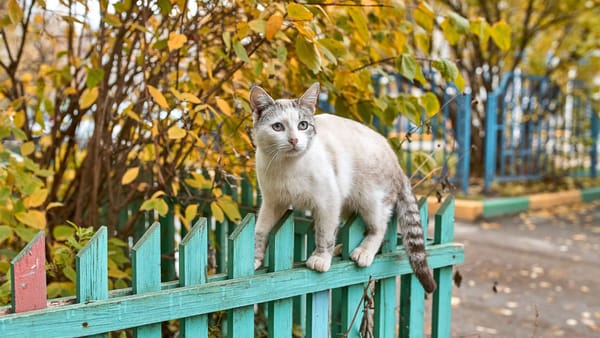 Septembrie își ia rămas-bun cu vreme frumoasă. Ce temperaturi avem miercuri