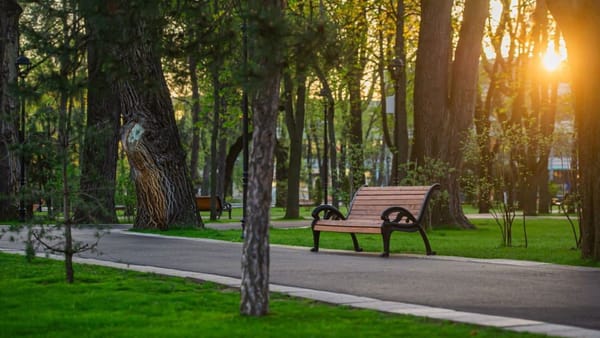 Dimineață rece, zi caldă. Meteorologii prognozează pentru astăzi temperaturi de până la 25 de grade Celsius