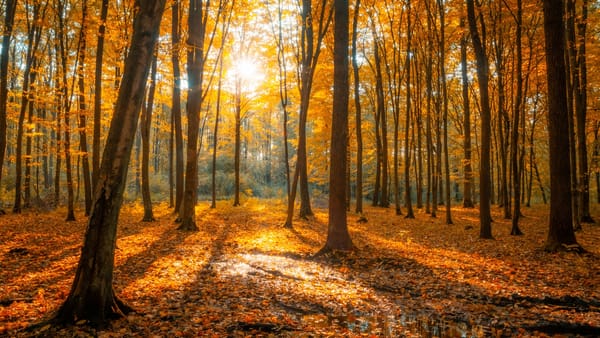 Sfârșit de weekend cu vreme caldă în toată țara. În câteva raioane sunt prognozate ploi slabe
