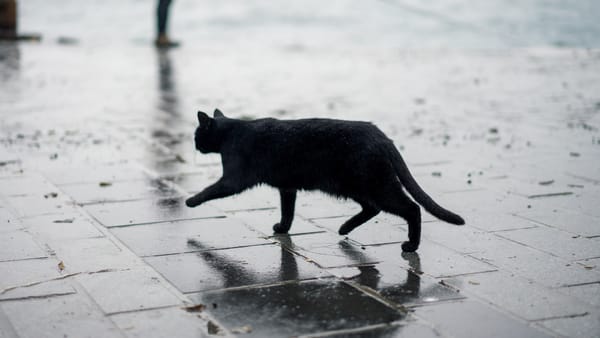 Zi de luni cu temperaturi în scădere și ploi în toată țara. Mercurul din termometre nu va urca mai sus de +20°C