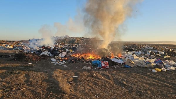 O gunoiște din Negureni a fost cuprinsă de flăcări. Deșeurile ar fi fost incendiate intenționat