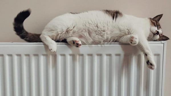 Doar 10 blocuri locative din Chișinău au fost conectate la căldură. Termoelectrica anunță situația pentru 23 octombrie