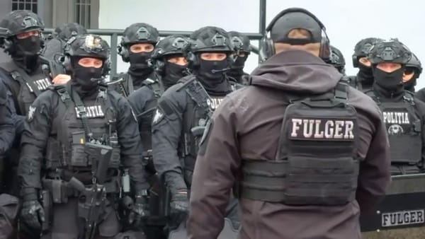 VIDEO/ Polițiștii de la „Fulger” au simulat reținerea unor persoane înarmate în cadrul unui exercițiu tactic