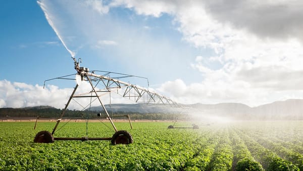 Producția agricolă s-ar putea tripla pe terenurile vizate de un proiect de modernizare a irigațiilor