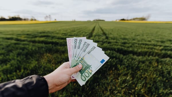 Peste 35 de milioane de lei pentru sprijinirea fermierilor care au accesat credite