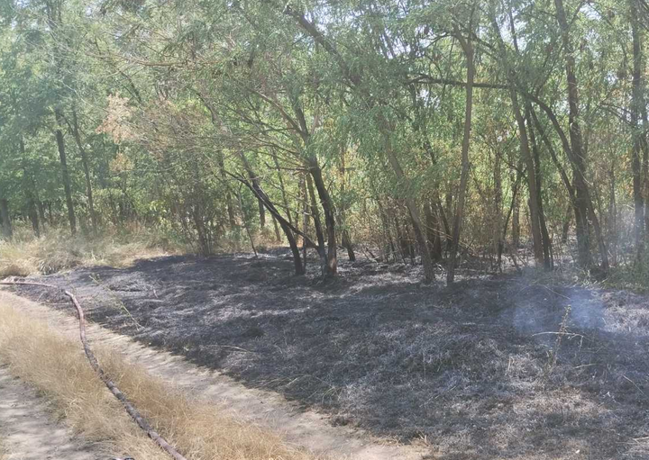 Incendiu la Ocolul Silvic Sculeni. Flăcările s-au extins pe o suprafață de 600 de metri pătrați