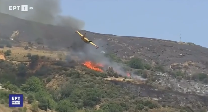 VIDEO/ Un avion pentru stingerea focurilor s-a prăbușit în Grecia