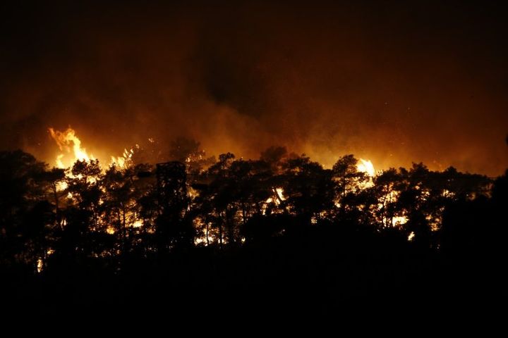 Incendii în Turcia. Kemer și Antalya, printre zonele afectate. Se intervine pe cale aeriană și terestră. Mai mulți oficiali, la fața locului (FOTO, VIDEO)