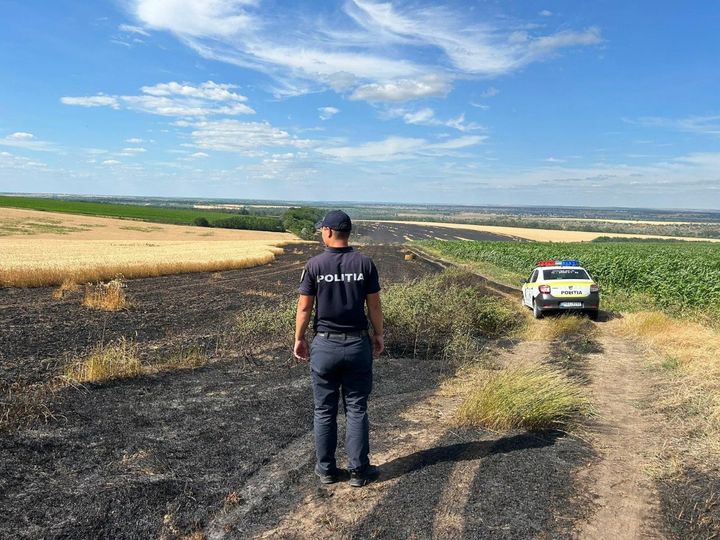 Peste 20 de hectare de orz și 30 de hectare de grâu, nimicite de flăcări în urma unui incendiu de vegetație. Recomandările pompierilor