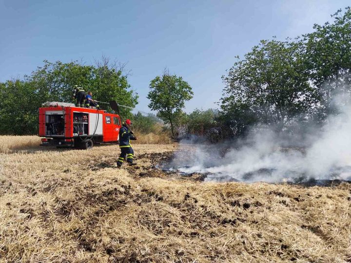 Mai multe hectare de culturi agricole și vegetație uscată, distruse de flăcări în ultimele 24 de ore