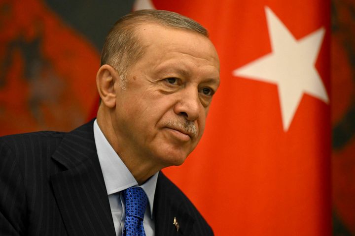 Erdogan, despre războiul din Ucraina: „Nu există perspective de pace la orizont”