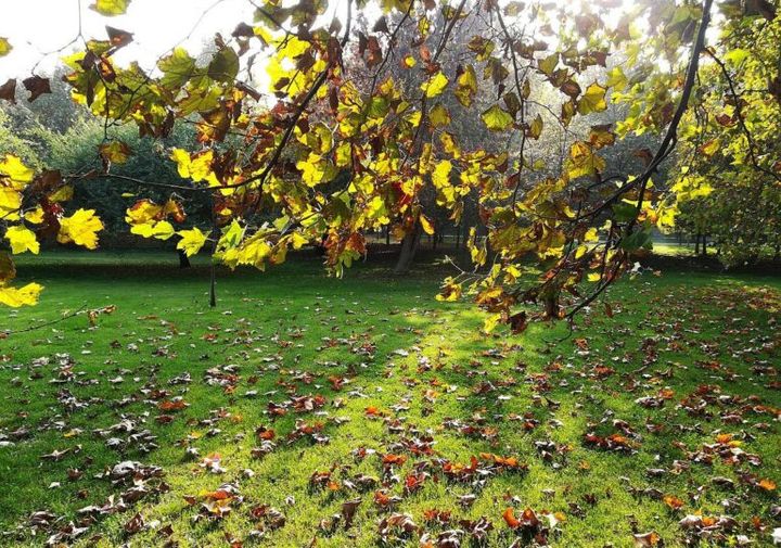 Ultima zi cu temperaturi de vară în lună de toamnă. Vremea în R. Moldova pentru 3 zile