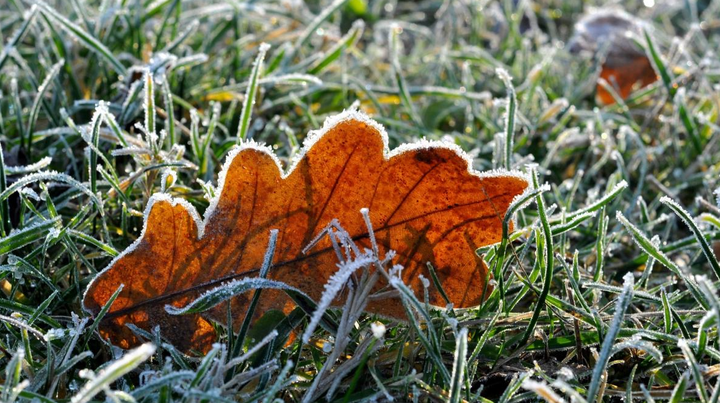 Cod galben de îngheț. Temperatura va coborî până la -5°C