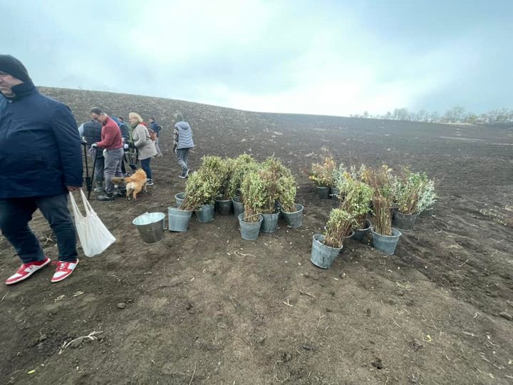 Începe campania de împădurire. Cetățenii, îndemnați să participe la acțiunile de plantare a copacilor