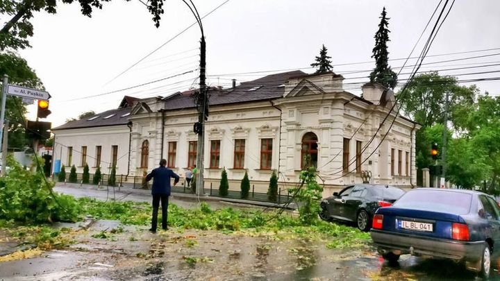 Municipalitatea îndeamnă șoferii din Capitală să nu parcheze sâmbătă mașinile sub copaci