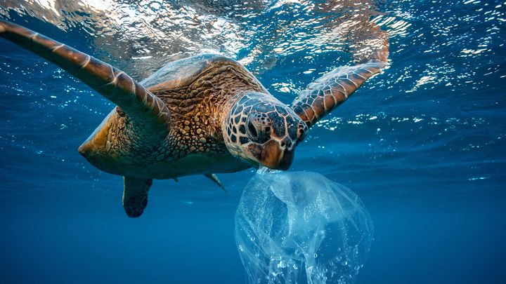 Circa un milion de tone de aditivi din plastic ajung anual în oceane