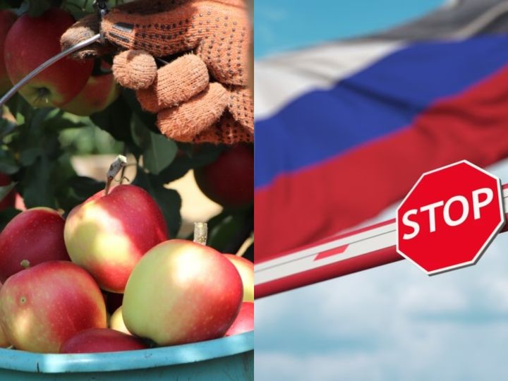 Federația Rusă instituie un nou embargo la produse din R. Moldova. Cum este argumentată decizia. Reacția ANSA