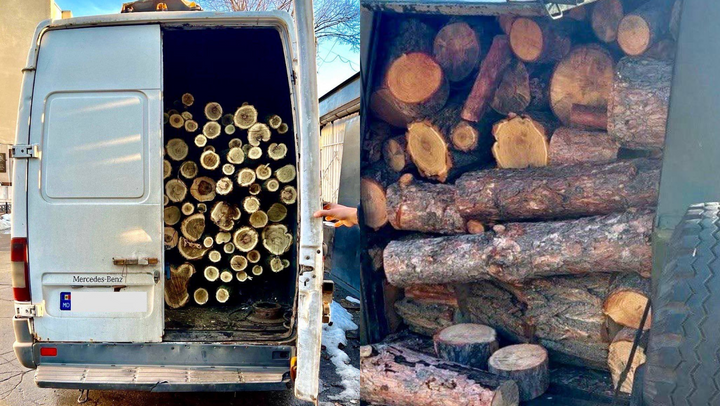 Patru șoferi, prinși în timp ce transportau lemne fără acte de proveniență. Ce amenzi riscă