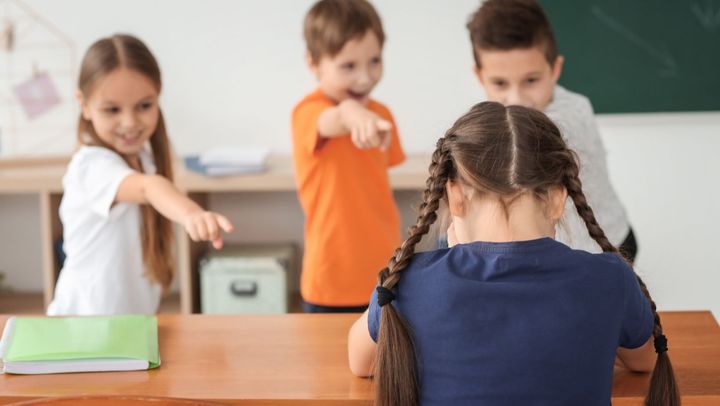 Mai mulți psihologi și profesori din țară au fost instruiți cum să prevină cazurile de bullying în școli