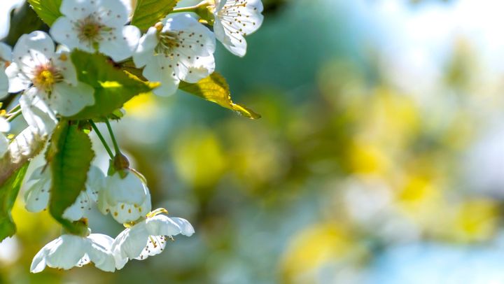 Meteorologii promit un weekend cu soare. Se vor înregistra maxime de până la +27°C