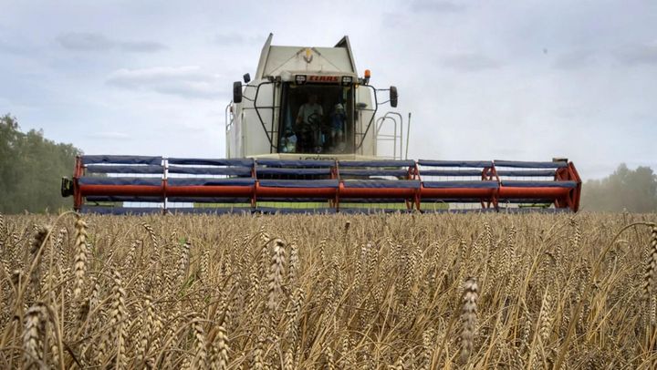 Fermierii moldoveni  cer introducerea unui mecanism permanent de reglementare a importurilor cerealelor din Ucraina