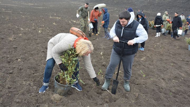 Din 10 martie începe campania de împădurire. Cetățenii sunt încurajați să planteze copaci