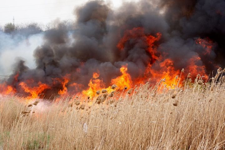 58 de persoane au fost sancționate ca urmare a incendierii intenționate a vegetației uscate