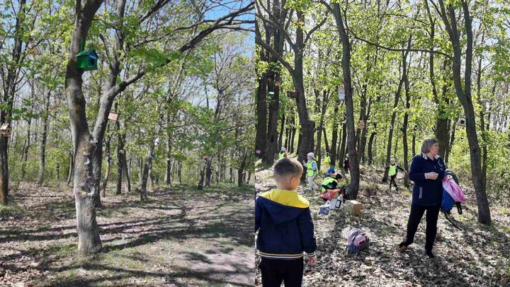 Luna Pădurii: Mai mulți copii din Leova au instalat căsuțe pentru păsări și au participat la jocuri educative în natură