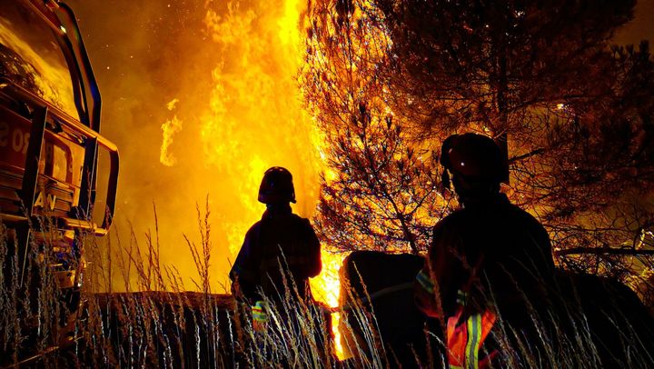 Într-o săptămână, nouă persoane au fost sancționate după ce au dat foc vegetației uscate