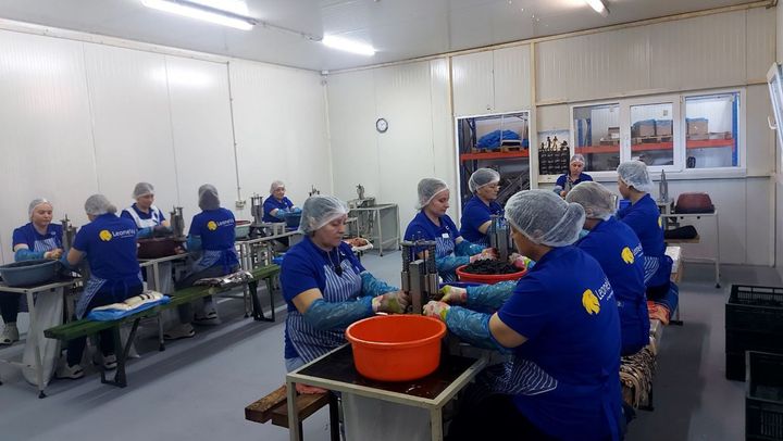 O companie italiană și-a deschis prima fabrică de procesare a fructelor din R. Moldova la Căinari