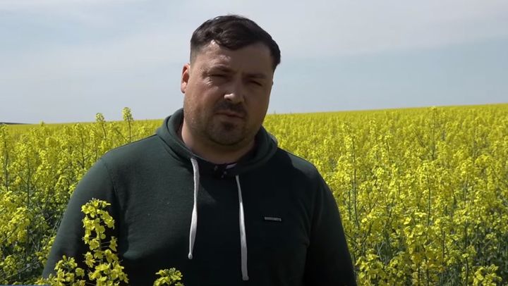 VIDEO/ Căldura din aprilie pune în pericol cultura de rapiță din R. Moldova. Fermier: „A înflorit prea repede”