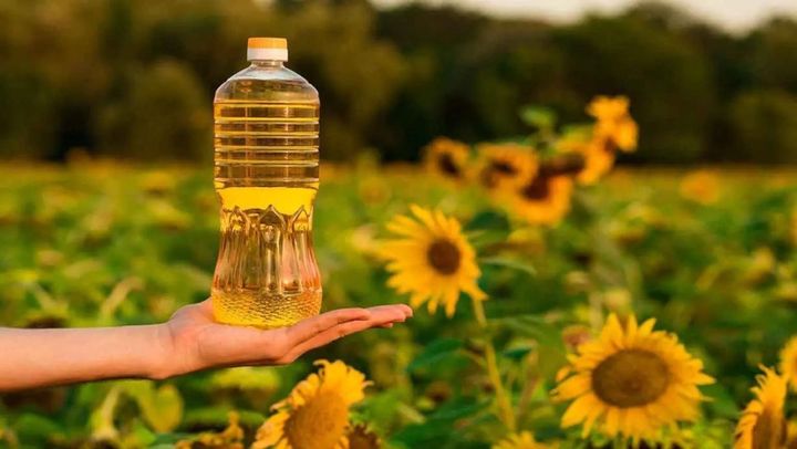 „Criza” uleiului: Ar urma să fie importate circa 300 mii de tone de semințe de floarea-soarelui din Ucraina