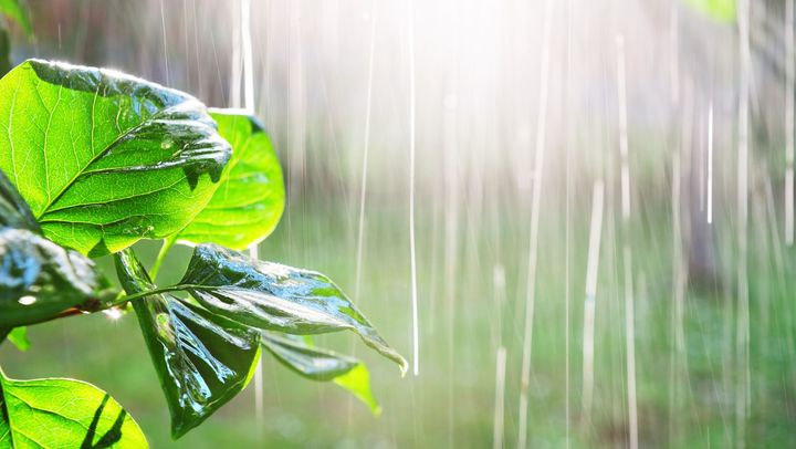 Meteorologii au emis cod galben de instabilitate atmosferică: Sunt prognozate ploi slabe cu descărcări electrice