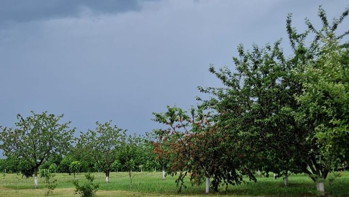 Ploi cu descărcări electrice și grindină. A fost emisă o nouă avertizare meteorologică