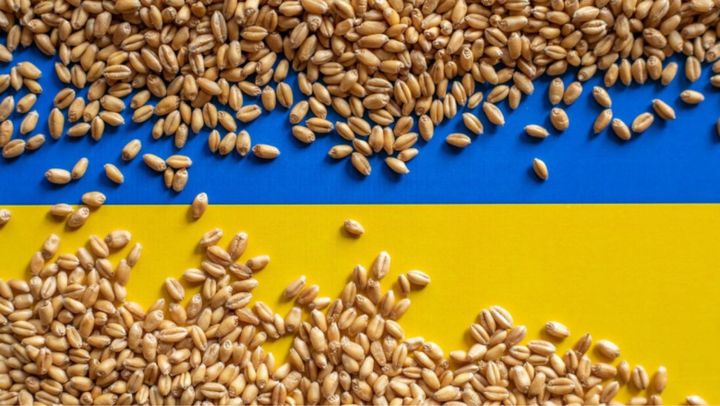 ACTUALIZARE/ Cerealele ucrainene care tranzitează R. Moldova, exceptate de la controlul ANSA până pe 14 septembrie