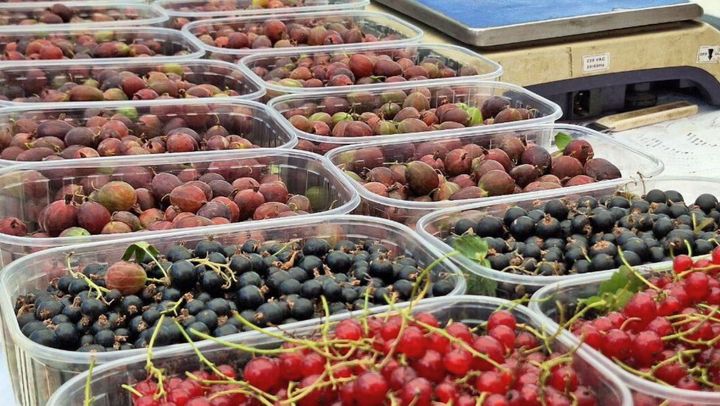 Tarabe cu fructe și legume de sezon la Chișinău. Adresele unde găsești produse autohtone