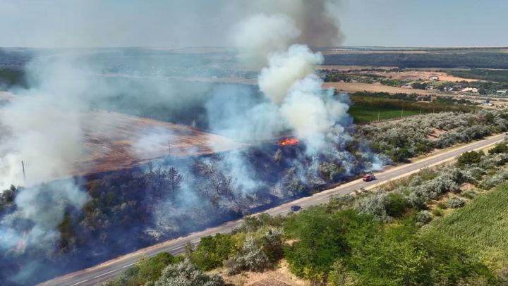 Incendiu uriaș la Cahul. Șase hectare de pădure au fost mistuite de flăcări. Apelul făcut de primarul orașului