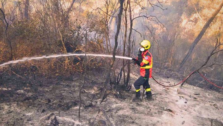 Pompierii moldoveni au participat la prima misiune de lichidare a incendiilor de pădure din Grecia