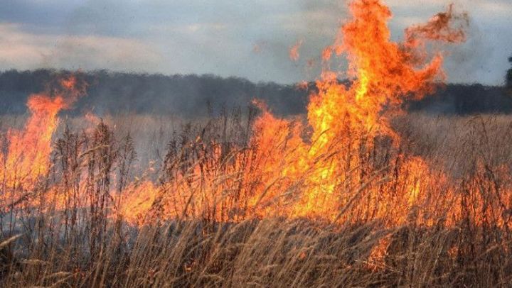 Incendiu pe strada Uzinelor din capitală. Au fost nimicite 15 hectare de iarbă uscată