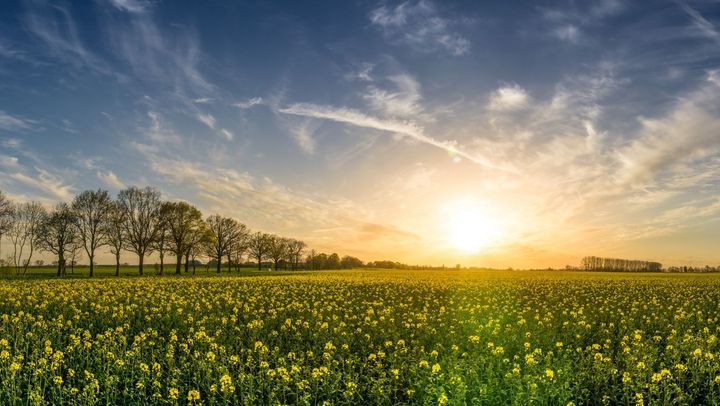 Atmosferă însorită şi temperaturi până la 32 de grade. Cum va fi vremea miercuri