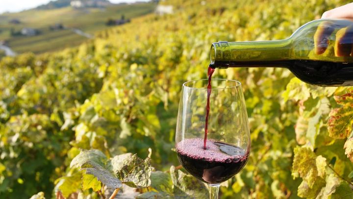 Tot mai mulți străini gustă din vinurile moldovenești. Exporturile au crescut cu 17%