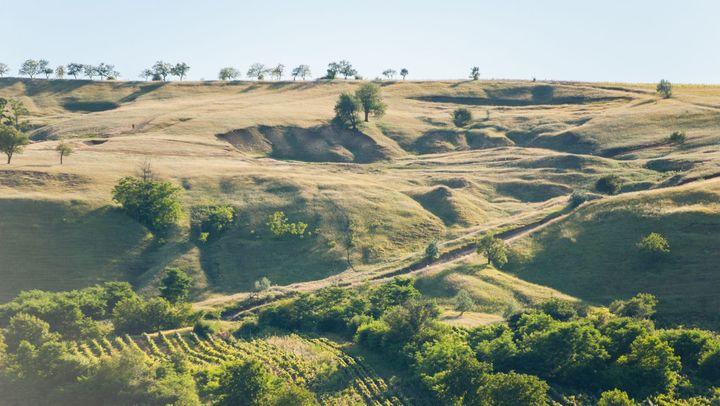 Cod galben de caniculă în centrul și sudul țării. Sunt prognozate maxime de 35 de grade Celsius