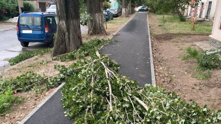 FOTO/ Vântul puternic din seara zilei de marți a doborât mai mulți copaci în Chișinău