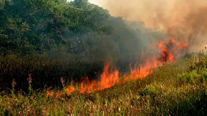 Pericol de incendii de vegetație. Avertismentul meteorologilor, prelungit până pe 6 septembrie