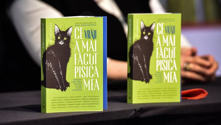 Bookfest revine la Chișinău cu o nouă ediție. Ce surprize pregătesc organizatorii pentru iubitorii de carte