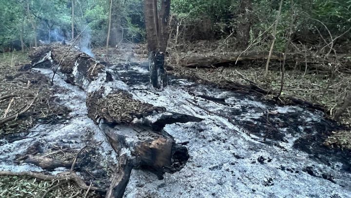 La aproape o lună după ce trei drone au ajuns în România, Bucureștiul continuă să caute eventuale rămășițe